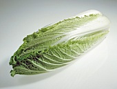 Close-up of Chinese cabbage on white background