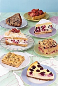 7 verschiedene Stücke Beeren-Kuchen 