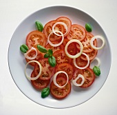 Freisteller: Tomatensalat mit Zwiebeln