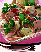 Close-up of sausage salad with radishes, emmental cheese and chives in bowl