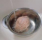 Deer brain washed in bowl, step 1