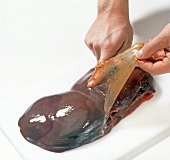 Skin being peeled from deer liver, step 1