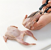 Quail being cut with scissors, step 4