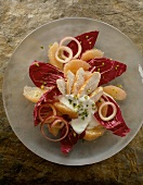 Close-up of radicchio salad with grapefruit and onions on plate