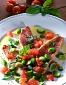 Close-up of red mullet fillet with broad beans, tomatoes and basil on plate