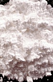 Close-up of decorative white snow