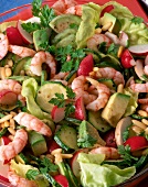 Garnelensalat mit Avocados, Zucchini , Radieschen, Pilzen u. Pinienkernen