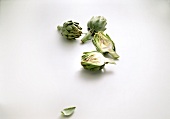 Three medium-sized green leafy artichokes on white background