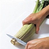 Gemüse aus aller Welt, Blattstiel vom Cardy schneiden, Step 1
