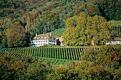 Schlossgut Bachtobel in Ottoberg, Schweiz