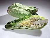 Whole and halved pointed cabbage on white background