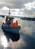 People in trawler going for delivery before Holtenau, Germany