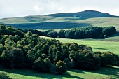 Views of Aubrac plateau in Auvergne, France