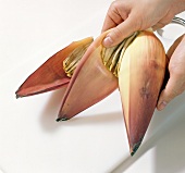 Close-up of banana flower being pealed, step 1