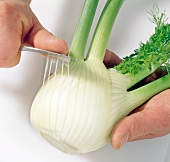 Close-up of hands peeling fennel bulb, step 1
