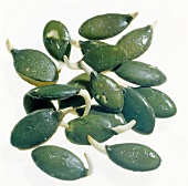 Close-up of pumpkin sprouts seeds on white background