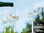 Close-up of white wine being poured in glasses