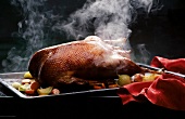 Steamy roasted goose with onions and carrots on baking tray