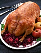 Goose in classic style with apple red cabbage and apples filled on serving dish