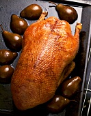 Goose in Spanish style with pears in a brown sauce on serving dish