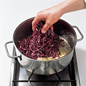 Gemüse aus aller Welt, Rotkohl , Zwiebeln, Topf, anschwitzen, Step2