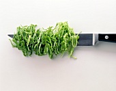 Chopped lettuce on knife against white background