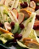 Close-up of fennel salad with smoked dogfish and apples on plate