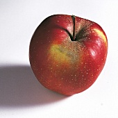 einzelner roter Apfel mit Siel Gloster