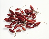 Close-up of chilli catarina on white background