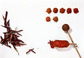 Nine different paprika and dried chilli on white background