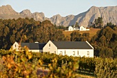 View of vineyard and houses in Diemersfontein Wine, South Africa