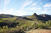 Südafrika, Weingut Bouchard Finlayso n, Landschaft, Berge