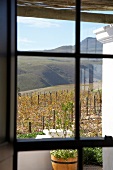 View of landscape from window in Bouchard Finlayson Winery, South Africa