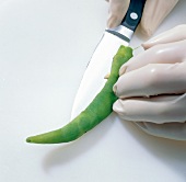 Paprika, Chilischote wird der Länge nach aufgeschnitten Step 5