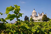 Château de Vufflens, Weingut in der Schweiz.