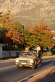 African men driving pick up car, South Africa