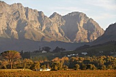 View of mountain landscape near Franschhoek, South Africa