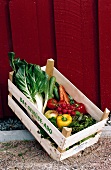 Bio-Kiste das Gemüse-Abo