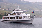 Dampfschiff auf dem Genfer See 