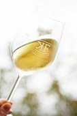 Close-up of glass of white wine being raised