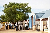 Guests standing in front of Meinert Winery, South Africa