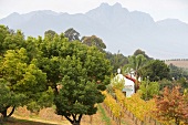 Südafrika, Weingut Meinert, Umgebung des Weingutes