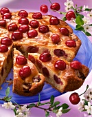 Glazed cake with red cherry on plate