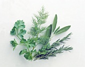 Variety of herbs with rosemary, sage, dill and parsley against white background