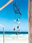 Close-up of wind chime hanging on branch on sea