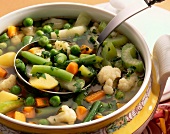Gemüse-Eintopf mit Erbsen, Bohnen, Möhren u. Sellerie in Suppenschüssel