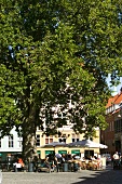 Sole d'Italia Restaurant under tree in Grabrodretorv Square, Copenhagen, Denmark