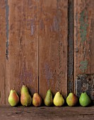 Various types of pears in a row against a wooden wall