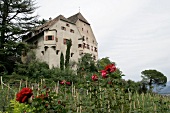 Schloss Englar Hotel in Eppan Appiano Strada Vino Trentino Südtirol