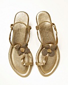 Golden toe sandals on white background